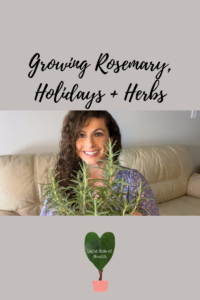 Growing Rosemary + (Blog Graphic)